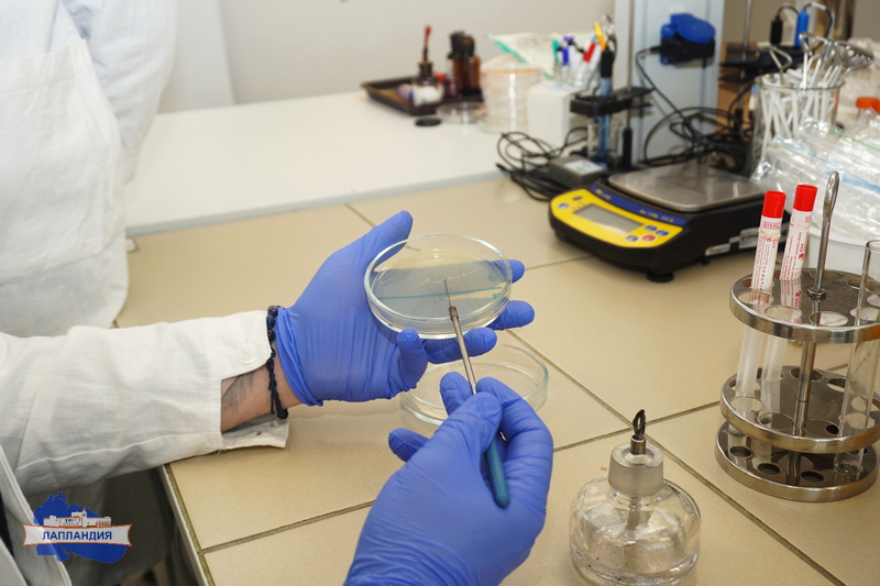 Полным ходом идёт подготовка финалиста регионального чемпионата «Профессионалы»!